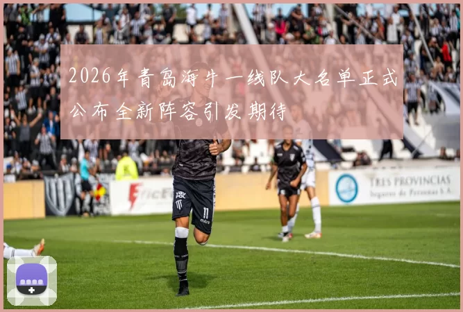 2026年青岛海牛一线队大名单正式公布全新阵容引发期待